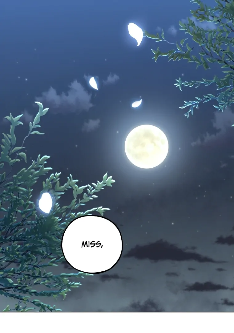 Shadow Moon chapter 1 page 28