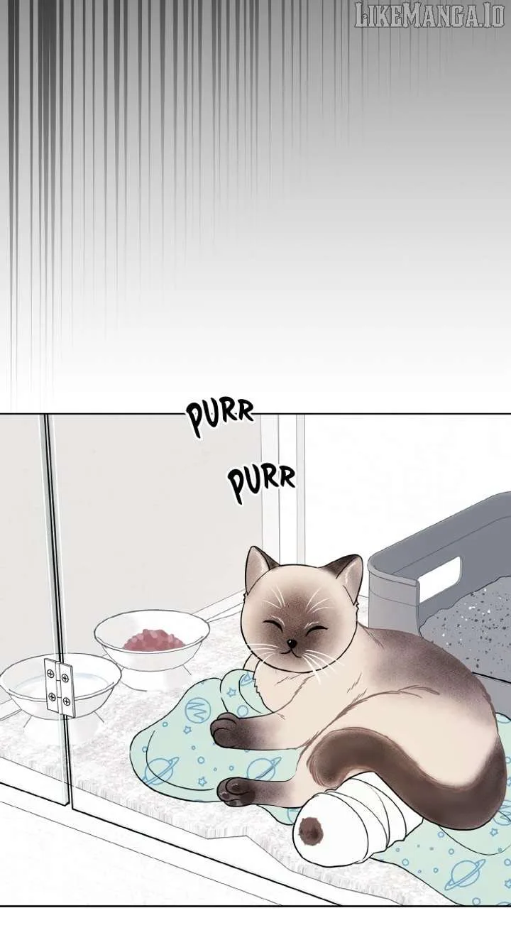One of Three chapter 8 page 85