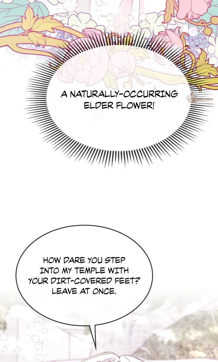 Terrarium Adventure chapter 101 page 53