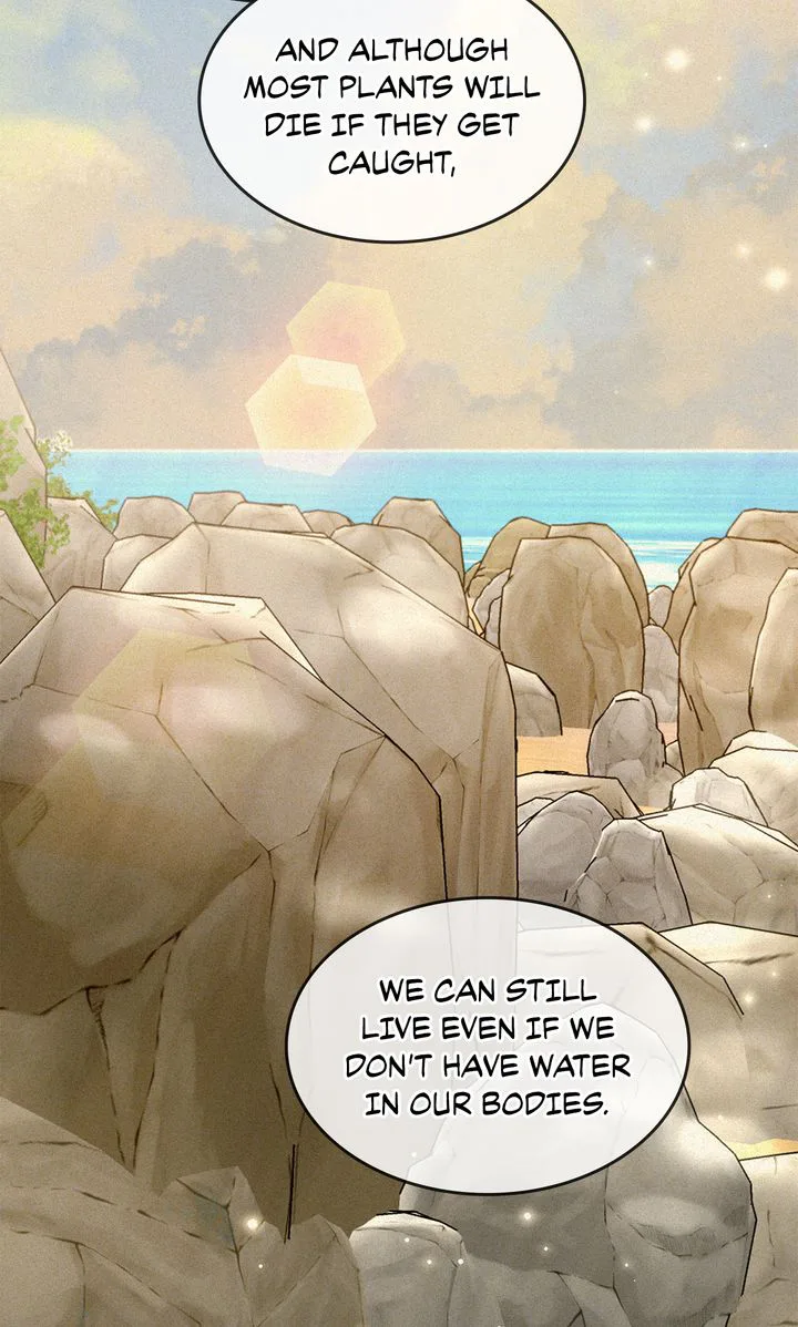 Terrarium Adventure chapter 107 page 71