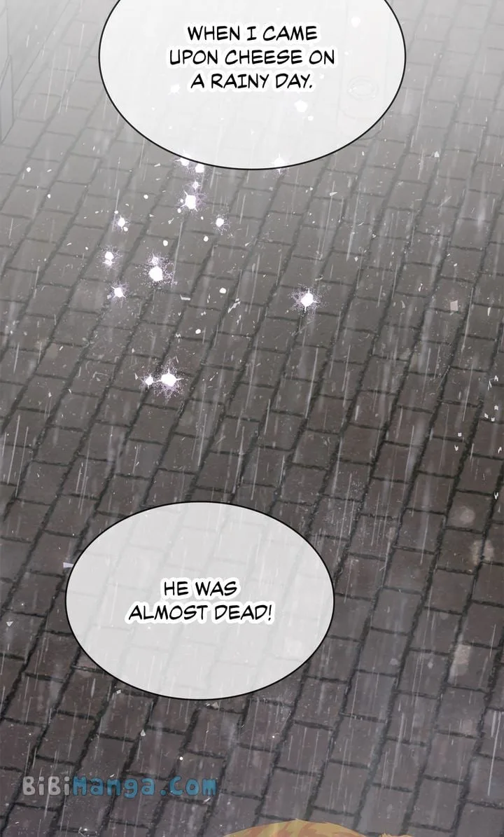 Terrarium Adventure chapter 71 page 27