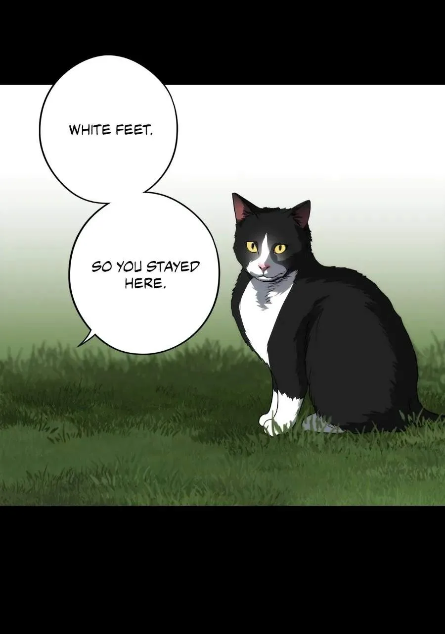 Blinded by the Setting Sun chapter 230 page 40