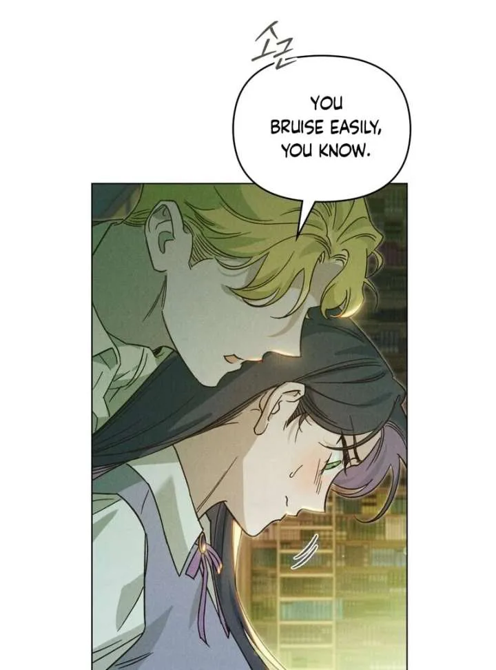 The Butterfly That Swallowed the Mist chapter 12 page 3