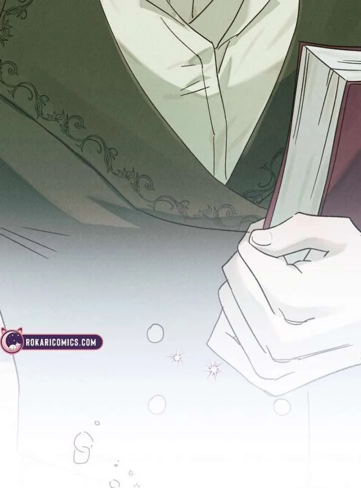 The Butterfly That Swallowed the Mist chapter 12 page 30