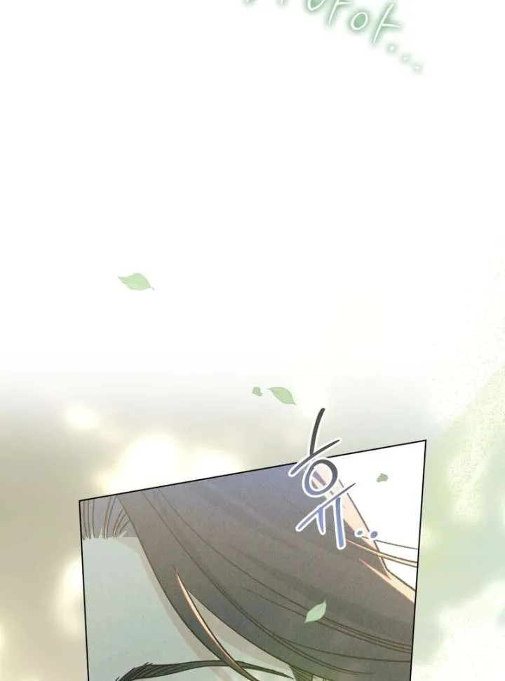 The Butterfly That Swallowed the Mist chapter 12 page 71