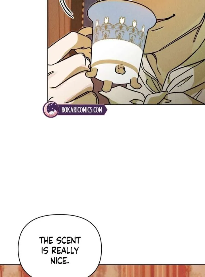 The Butterfly That Swallowed the Mist chapter 19 page 18