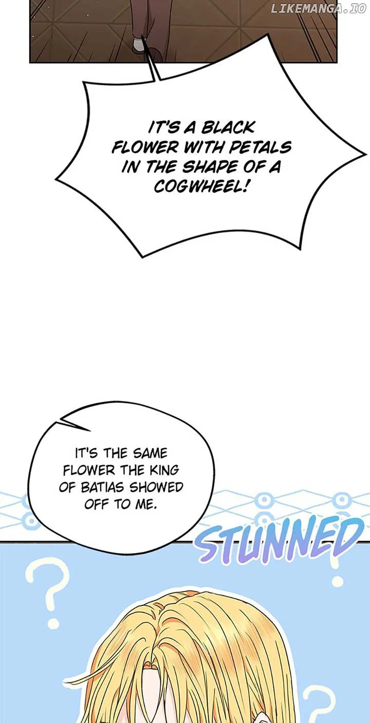 Surviving as an Illegitimate Princess chapter 62 page 63