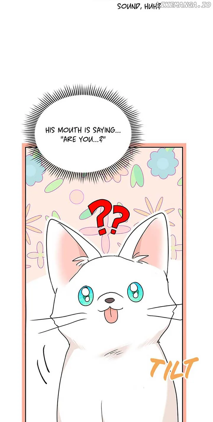 Surviving as an Illegitimate Princess chapter 64 page 81