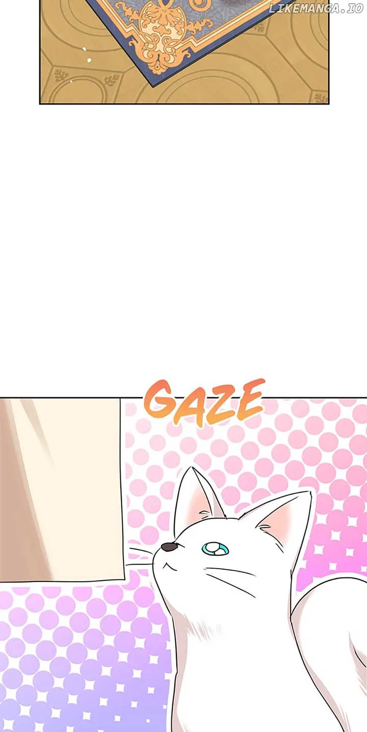 Surviving as an Illegitimate Princess chapter 65 page 17