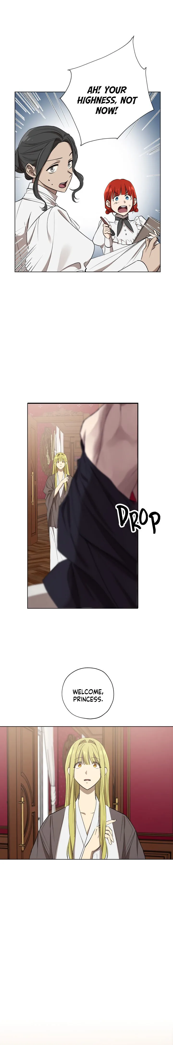 The Princess Imprints A Traitor chapter 17 page 1