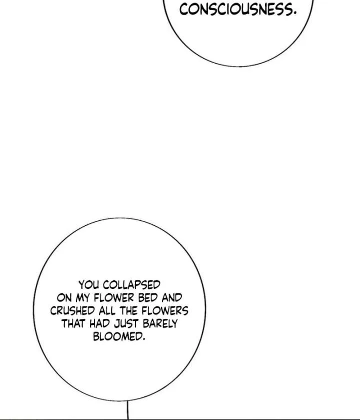 The Secret Garden chapter 1 page 310