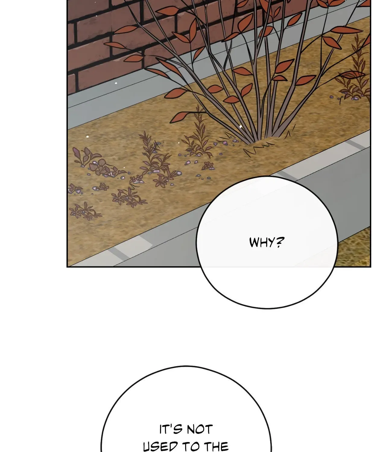 My Sassy Celebrity chapter 49 page 183