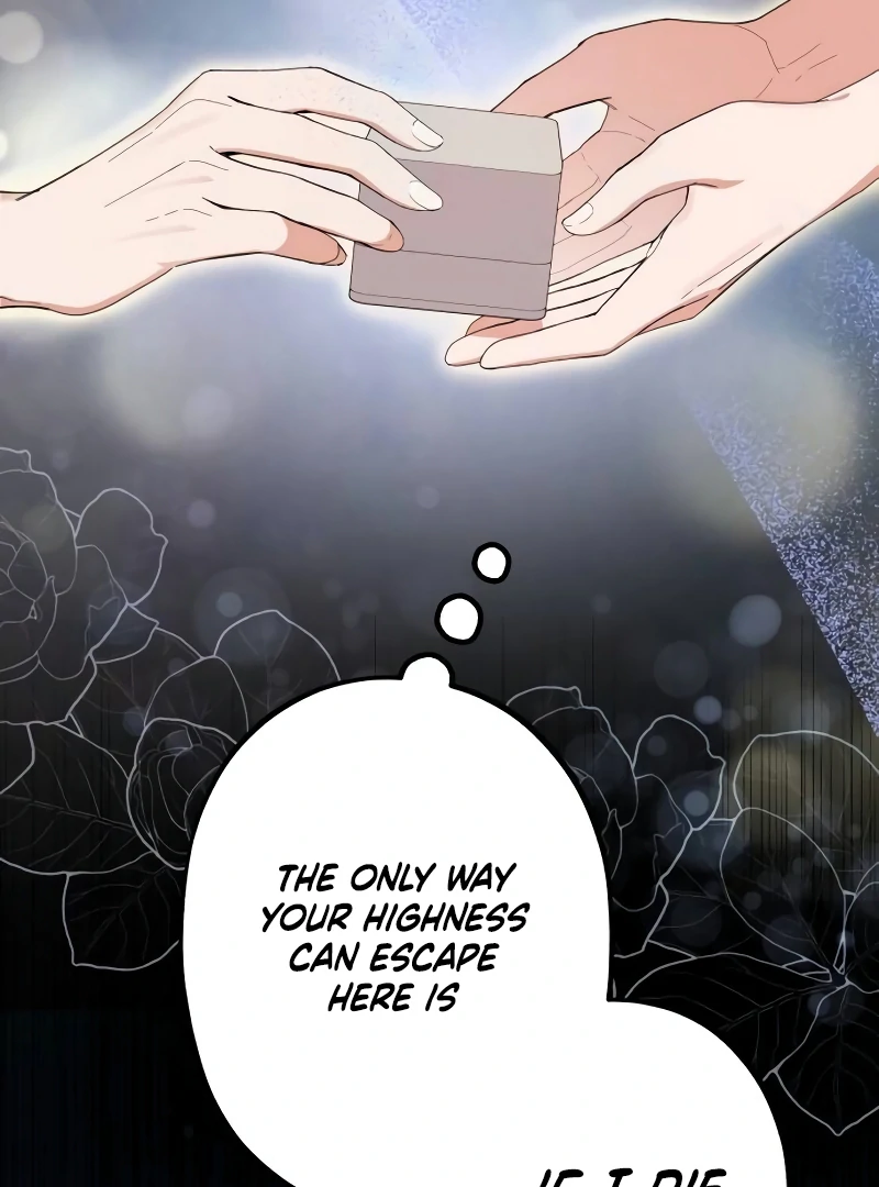 Shadow Princess chapter 17 page 44