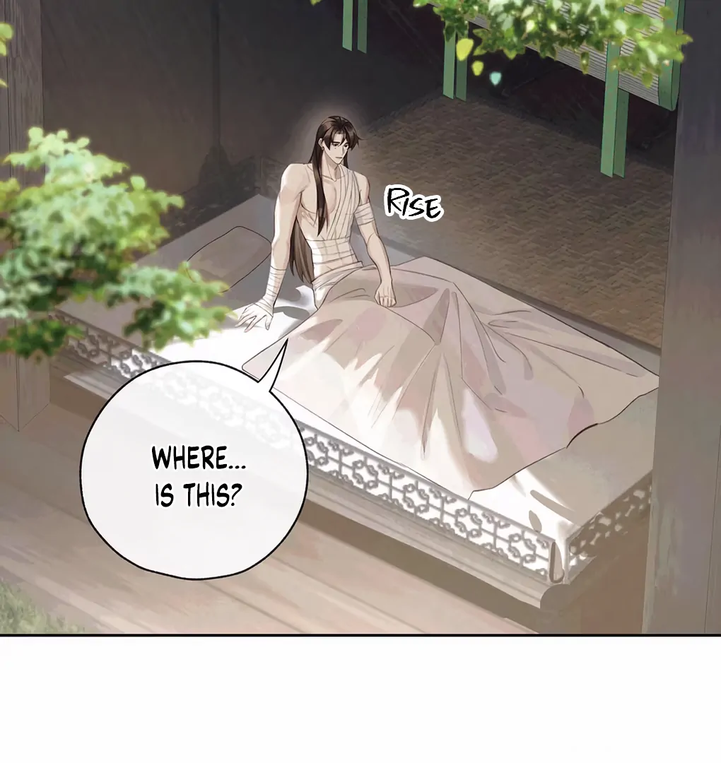 Was His Highness Assassinated Today? chapter 2 page 12