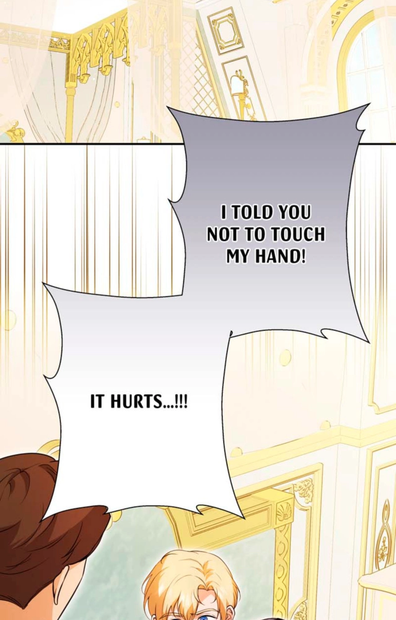 The Dame In Shining Armor chapter 62 page 3