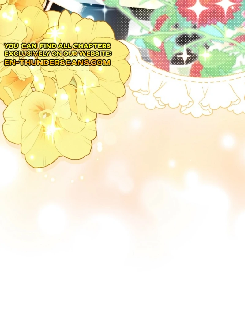 Face Genius, 0-Year-Old Top Star chapter 11 page 17