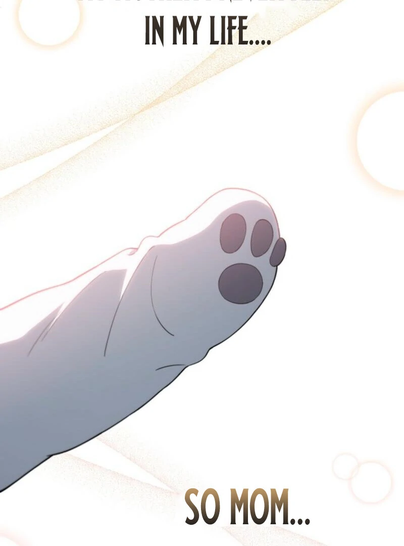 Face Genius, 0-Year-Old Top Star chapter 9 page 96