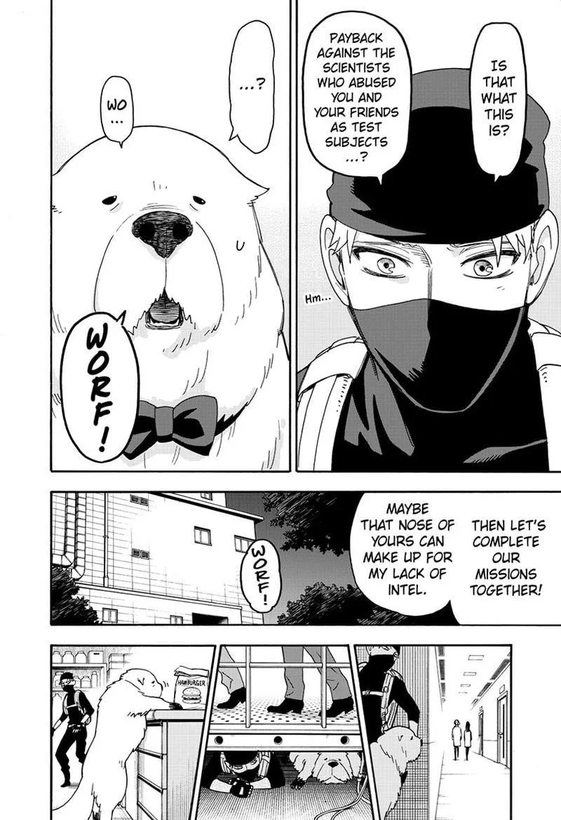 Spy X Family chapter 40 page 17