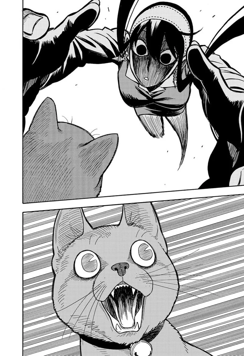 Spy X Family chapter 43 page 16