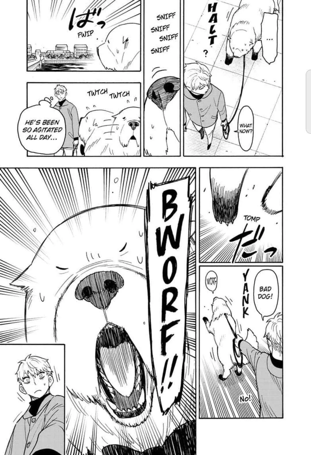 Spy X Family chapter 58 page 13
